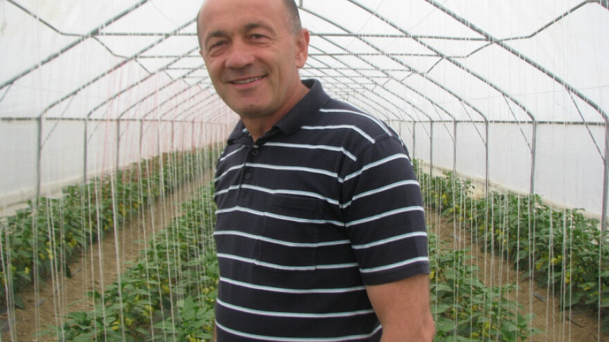 Paprika poranila, prva cijena podbacila