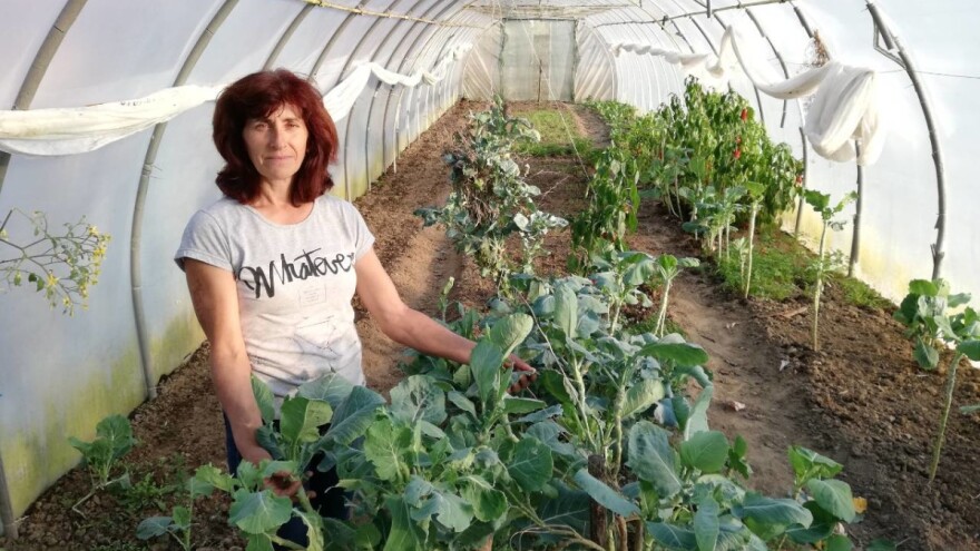 Bio farma - porodični posao koji se isplati