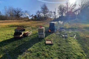 Kako dezinficirati ramove živom sodom?