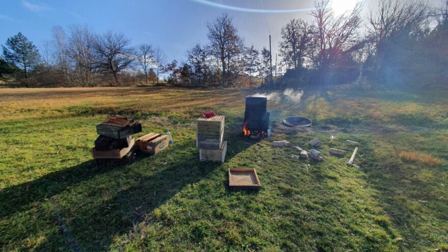Kako dezinficirati ramove živom sodom?