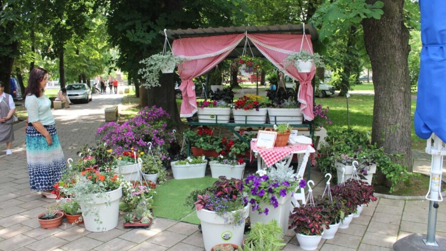 U bašti nade uvijek nešto cvjeta: U toku prijave za bijeljinski Sajam cvijeća