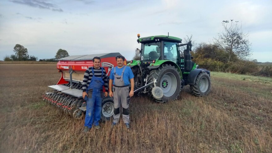 Pokus kukuruza na polju Vedrana Štefaneca - kakvi su rezultati?