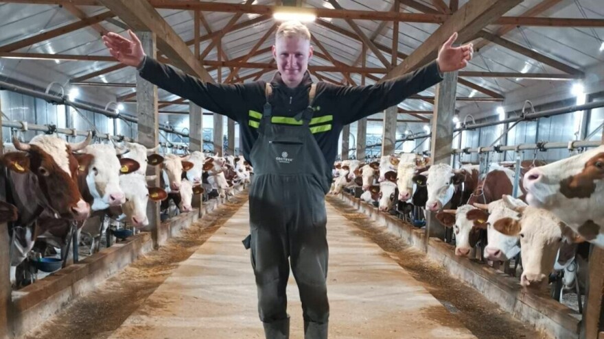 Aleksandar je peta generacija stočara u porodici: Dnevno proizvedu 1.000 litara mleka