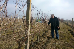 Bata: Čokoti i burad dovoljni za sreću
