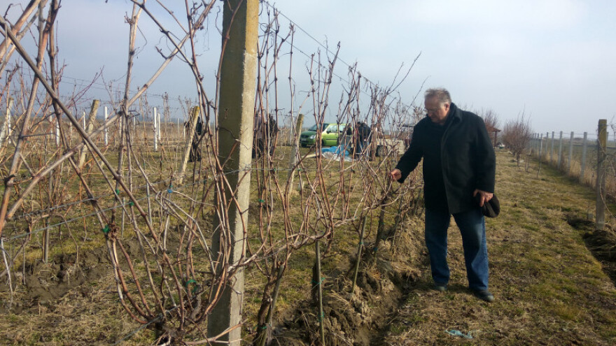 Bata: Čokoti i burad dovoljni za sreću
