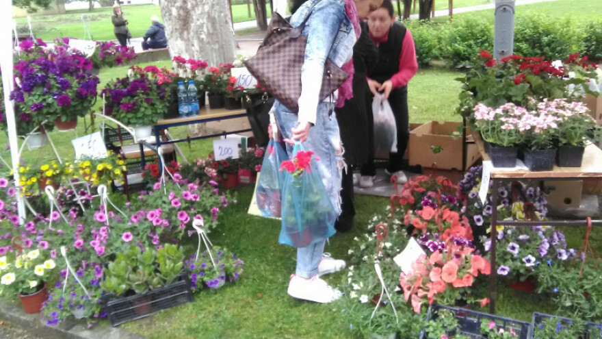 Neodoljiva ponuda na prvom Sajmu cveća