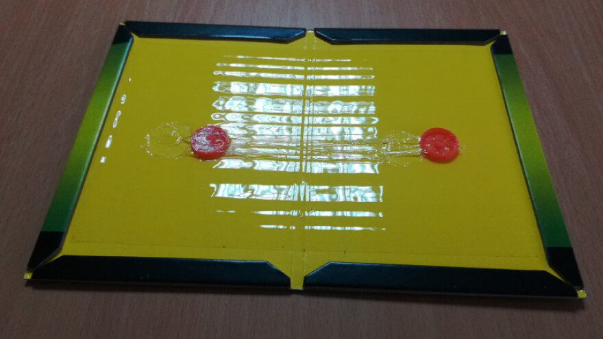 Blaga zima pogoduje razmnožavanju glodara