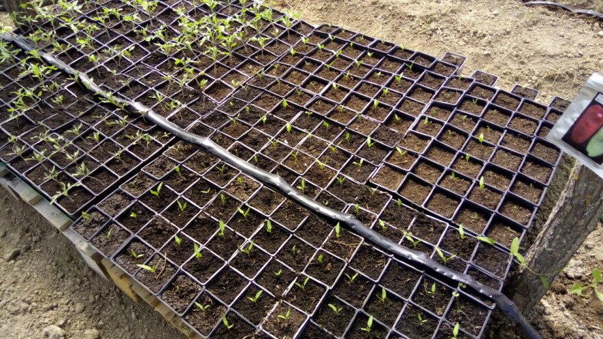 Dozvoljena sredstva u zaštiti bilja u organskoj proizvodnji