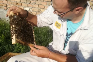 Na Novom Zelandu usavršio tehniku pčelarenja