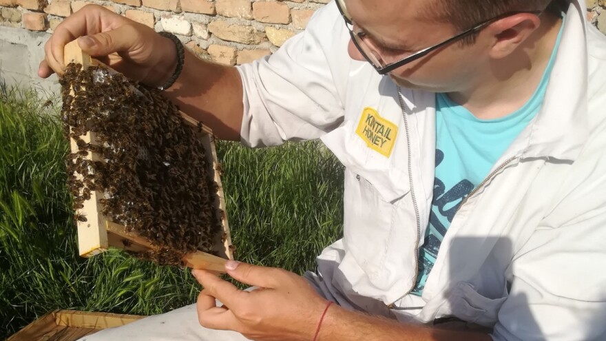 Na Novom Zelandu usavršio tehniku pčelarenja