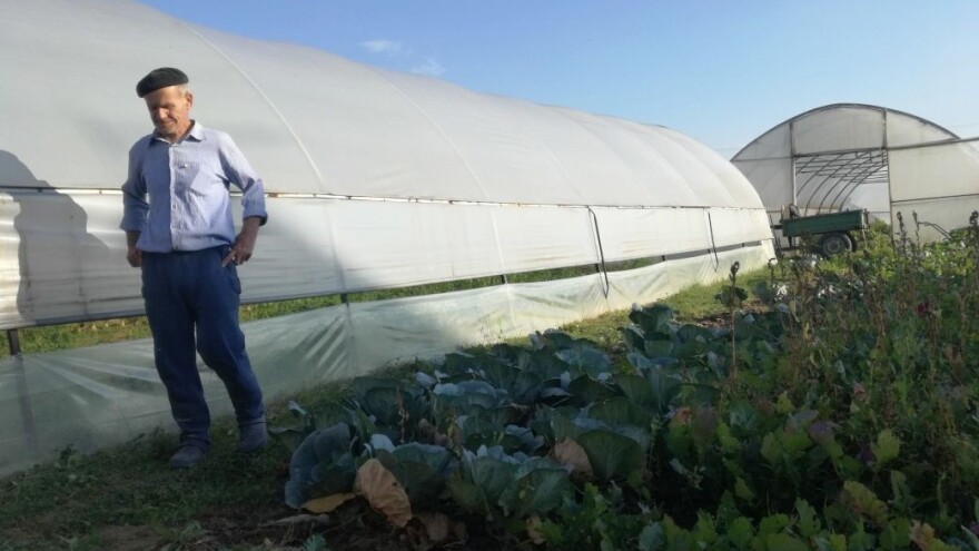 Mujo Omanović: Toplo vrijeme odgovara povrću u plastenicima