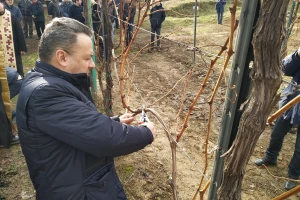 Dragoslav Ivanišević: Loza u dobroj kondiciji pred novu sezonu