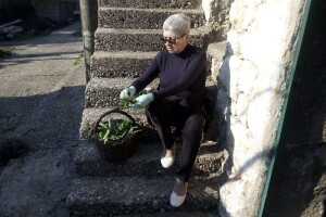 Krenuo si orati, nabrala si divlje zelje, ojarila se koza – pokaži nam