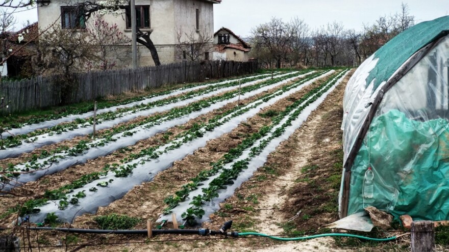 Policijski čas do subote u pet ujutru, za vikend zabrana kretanja kao i radnim danima?