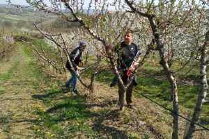 Produžen policijski čas na skoro ceo vikend - obavezna i potvrda uz dozvolu kretanja