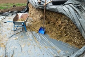 Kada i zašto silaža postaje opasnost za podzemne i površinske vode