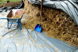 Kako spremati silažu - potpuno prirodnom fermentacijom ili uz dodatak inokulanata?