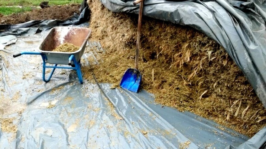 Kako spremati silažu - potpuno prirodnom fermentacijom ili uz dodatak inokulanata?