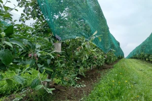 Užice: Za mašine, stoku i opremu u voćarstvu - 32 miliona dinara