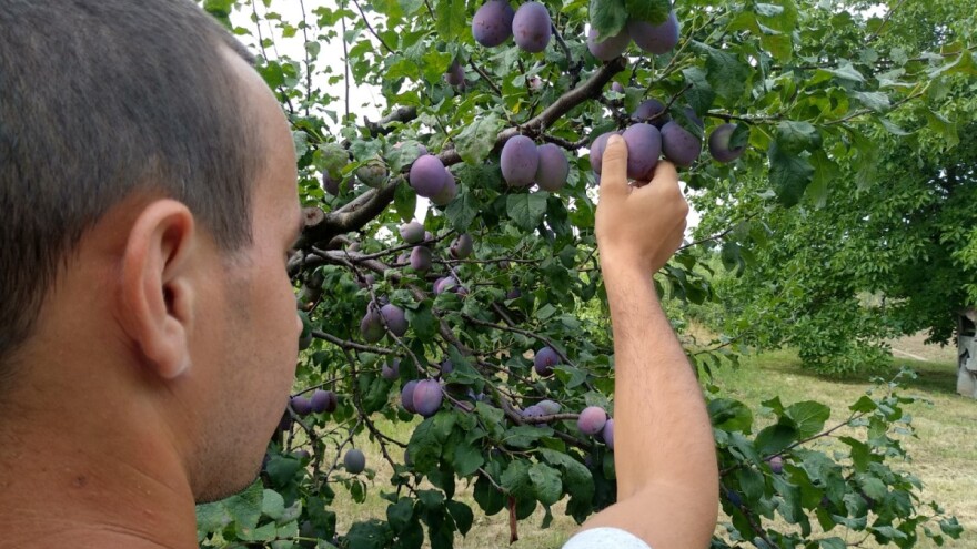 Na raspolaganju krediti od šest do 18 miliona dinara