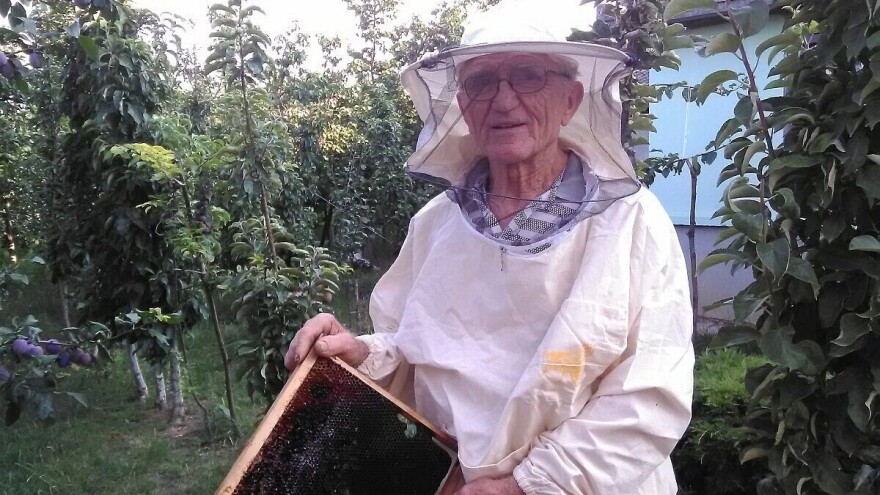 Milan Radumilović u devetoj deceniji brine o velikom pčelinjaku