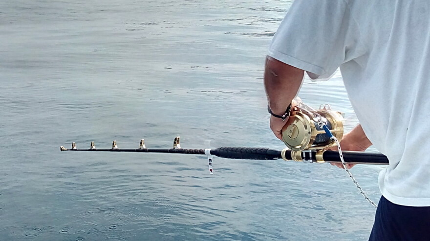 Kako do potpore u okviru mjere II.12.?