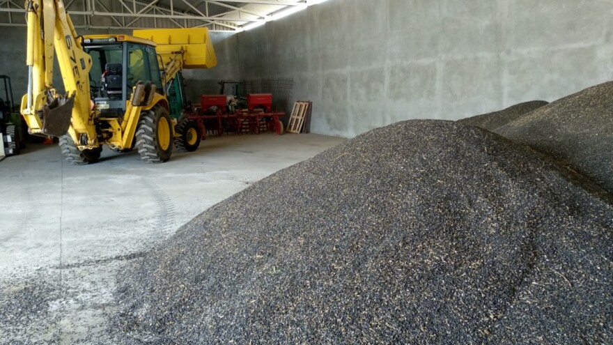 Akontna cena suncokreta od 33 do 35 dinara sa PDV-om?