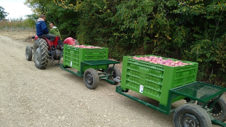 Ruski kupci šalju nove ugovore srpskim voćarima sa računima ne-ruskih banaka?