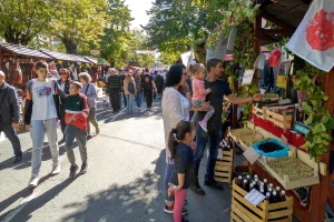Oplenačka berba drugog vikenda oktobra - u slavu grožđa i vina