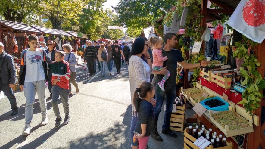 Oplenačka berba drugog vikenda oktobra - u slavu grožđa i vina