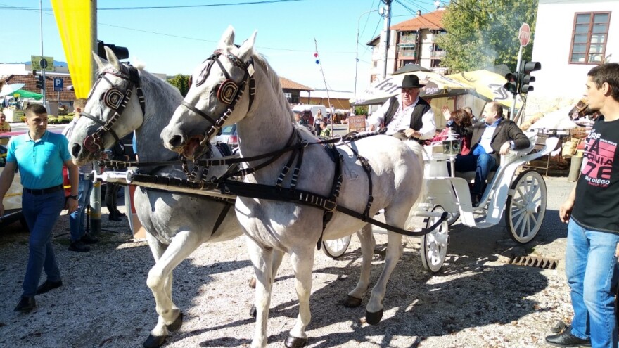 Šta je konj nekada značio čoveku, a šta danas konjske snage?