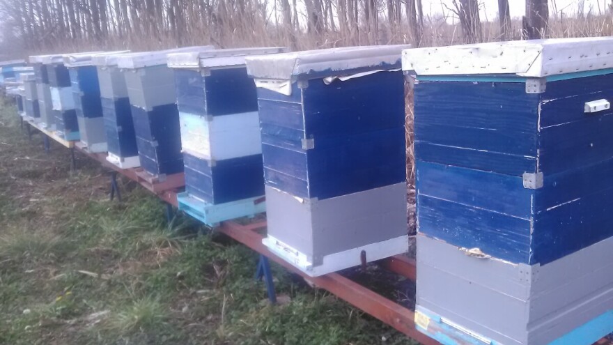 Pčelarstvo iziskuje velika ulaganja, a nailazi na još veće izazove