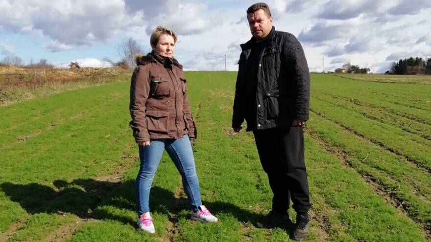 Trnovit put do kamilice: skupili papire - stopiran natječaj, divlje svinje poharale kukuruz i soju...