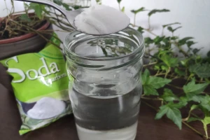 Soda bikarbona: Napravite sredstvo za zaštitu od bolesti i štetnika