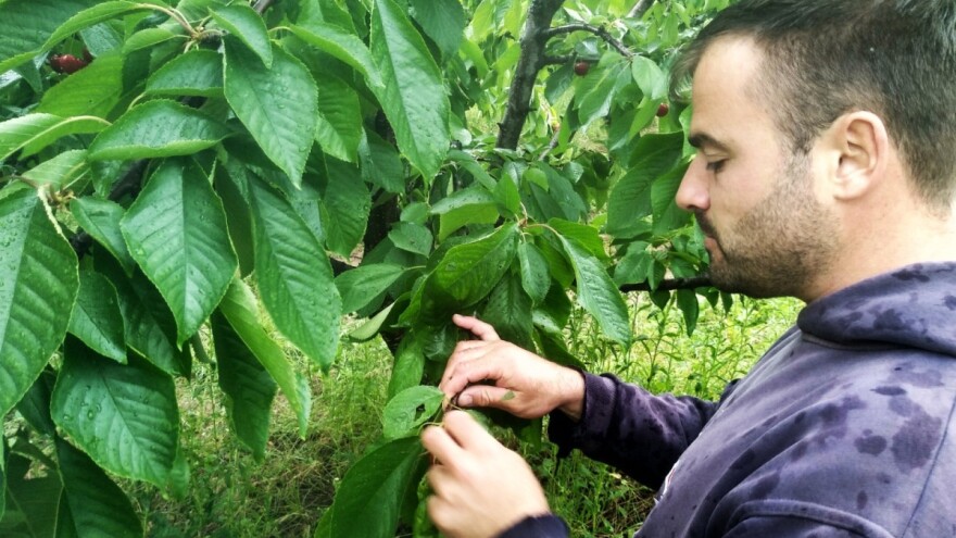 Zašto se mladi vraćaju na selo?