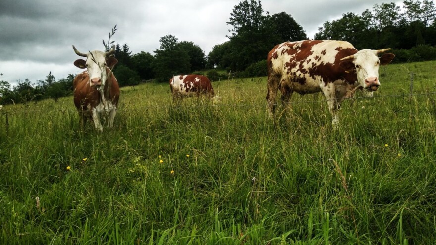 Opredjeljeno 150.000 KM opštinskih sredstava za  poljoprivrednike