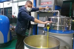 Najviše stabala, ali i prerađivačkih kapaciteta: Marinski kraj daje vrhunsko maslinovo ulje