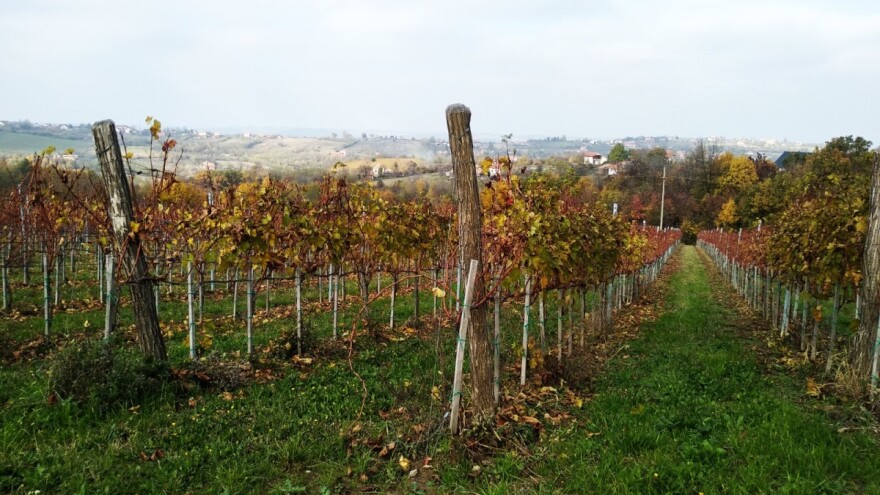 Pokrenuta javna nabavka za GIS za Vinogradarski registar