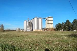 Produktna berza: Zabeležen pad cena kukuruza, pšenice i soje