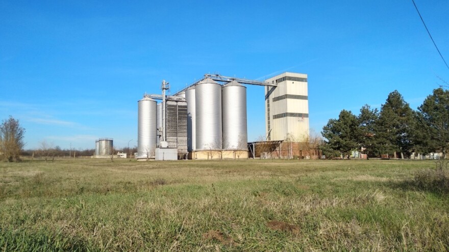 Produktna berza: Zabeležen pad cena kukuruza, pšenice i soje