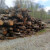 Policija traži kradljivca drva u Istri