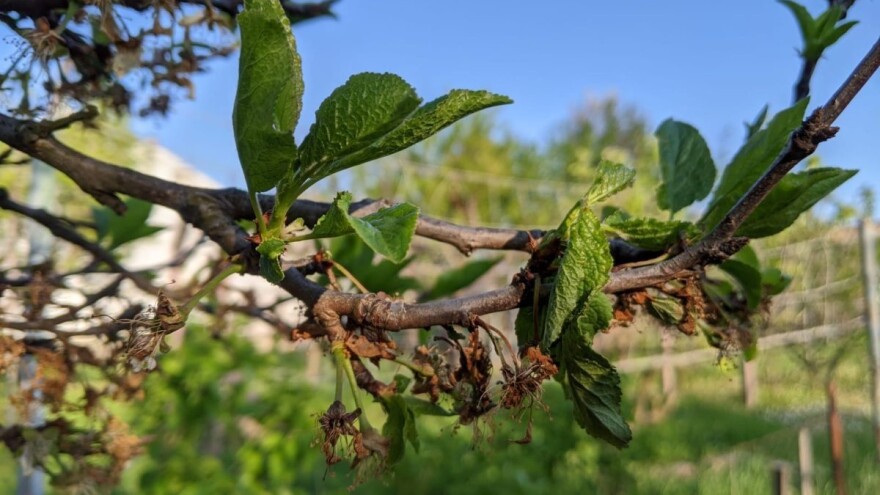 Podmjera 17.1: Za osiguranje usjeva, životinja i biljaka 140 milijuna kuna