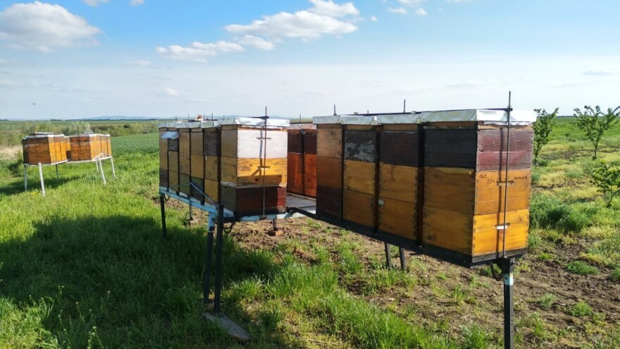 Da li je moguće da Srbija ima preko milion i po košnica?