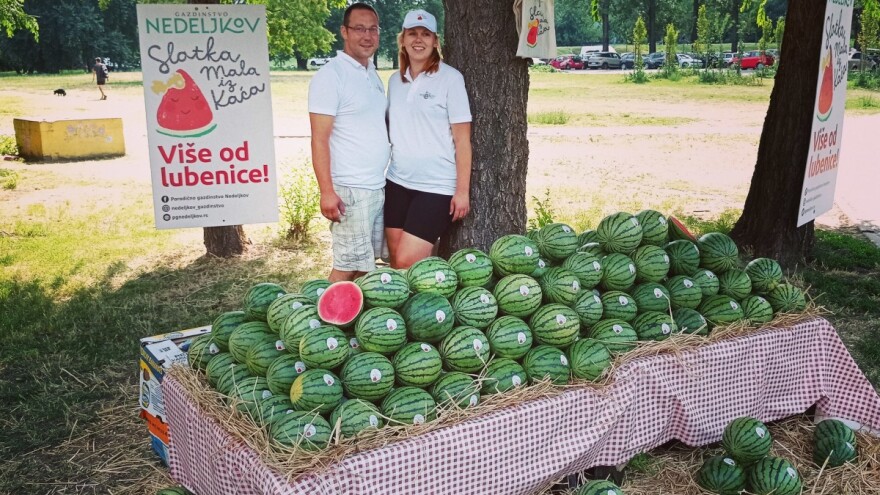 Mini lubenice: Jednostavnog izgleda, zahtevne u proizvodnji i neupitnog kvaliteta