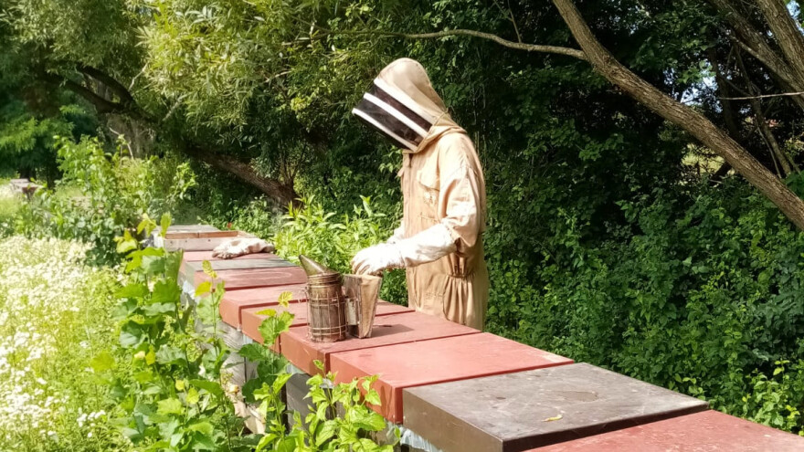 Nikola Pratnemer: Zakoni iz EU za pčelare prepisani su bez uvida u našu domaću realnost