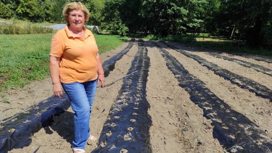 Danica Jović: Proizvodnja ekološkog voća i povrća nije toliko zahtjevna koliko je rizična