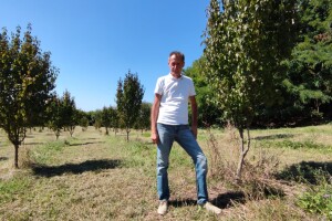 Drijen, novo-staro voće koje članovi zadruge Eko-razvoj prerađuju u pekmez, sok i rakiju