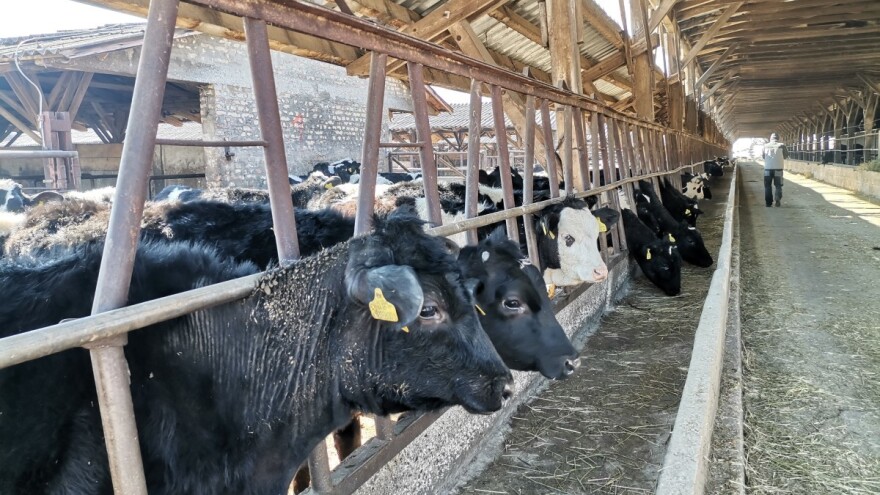 Na PD Butmir stiglo 50 novih junica