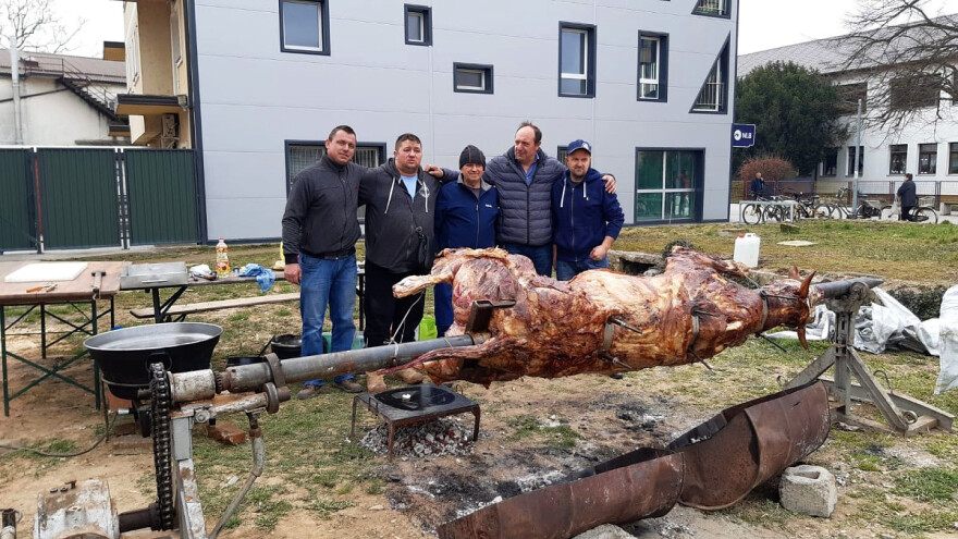 Okrenuli vola na ražnju u centru grada - slave konkurs za poljoprivredno zemljište