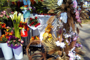 Proljetna čarolija u banjalučkom parku: Od čuvarkuće do karnevala